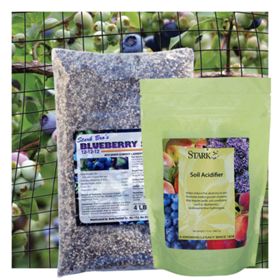 Photo of Blueberry Plant Success Kit