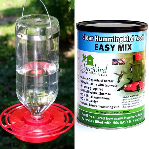 Hummingbird Feeder Collection Stark Bro's