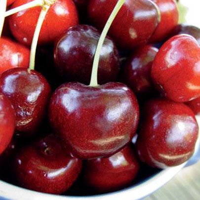 How to grow large, firm and sweet Cherries