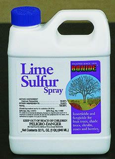 Photo of Lime Sulfur spray