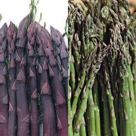 Photo of Two Pair Asparagus Plant Collection