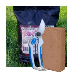 Photo of Rose Plant Success Kit