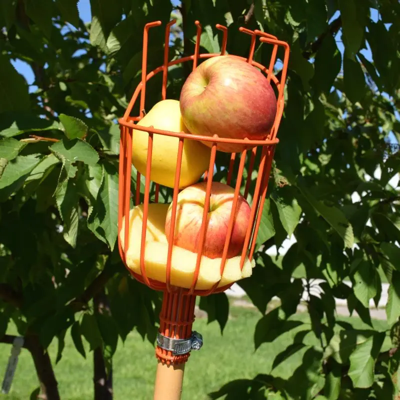 Seymour Fruit Picker