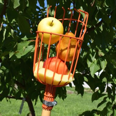 Photo of Seymour® Fruit Picker