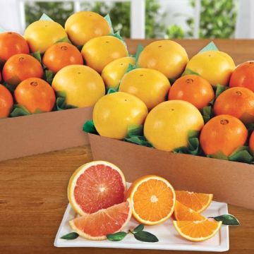 Photo of Double Citrus Delight