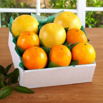Photo of Double Citrus Delight