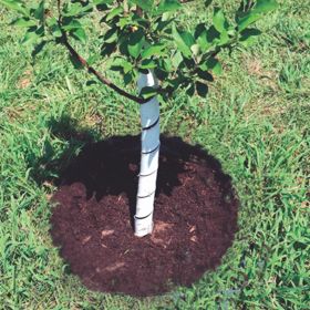 Photo of Stark® Tree Guards