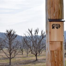 Photo of Stark® Bat House