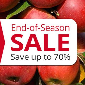 "End of Season Sale"