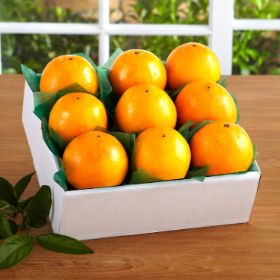 Photo of Florida Navel Oranges