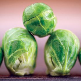 Photo of Long Island Improved Brussel Sprouts Seed