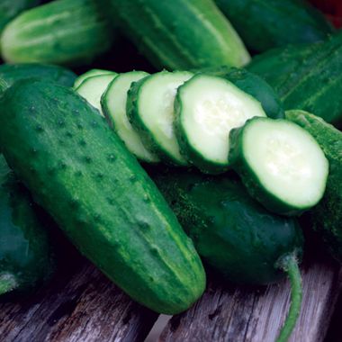 Photo of Boston Pickling Cucumber Seed