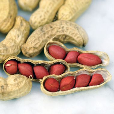 Photo of Tennessee Red Peanut Seed