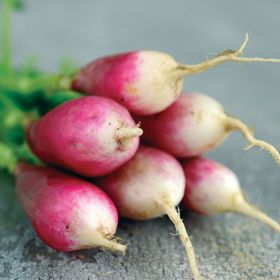 Photo of French Breakfast Radish Seed
