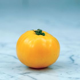 Photo of Barnes Mountain Yellow Tomato Seed