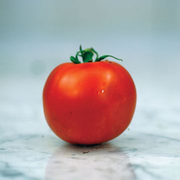 Photo of Bonny Best Tomato Seed