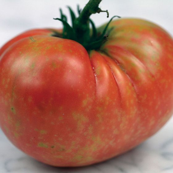 Photo of Missouri Pink Love Apple Tomato Seed