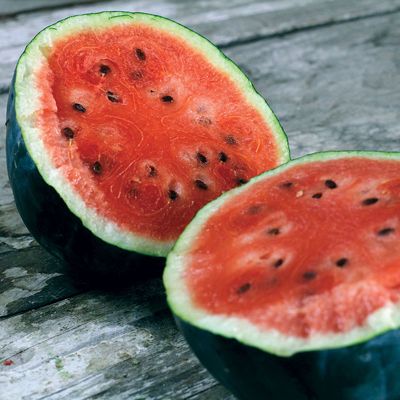 Photo of Sugar Baby Watermelon Seed