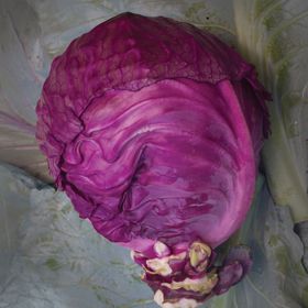 Photo of Mammoth Red Rock Cabbage Seed
