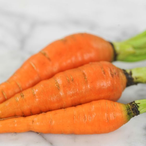 Photo of Scarlet Nantes Carrot Seed