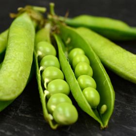 Photo of Little Marvel Garden Pea Seed