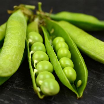 Photo of Little Marvel Garden Pea Seed