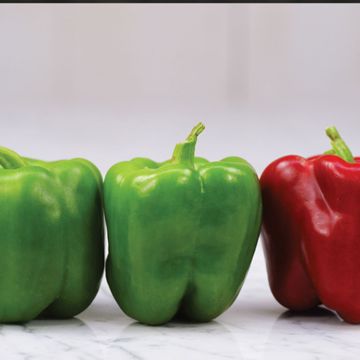 Photo of Bull Nose Pepper Seed