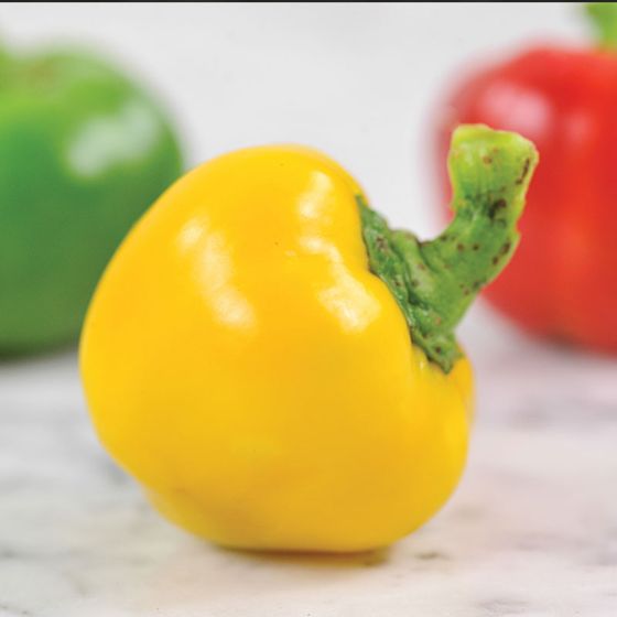 Photo of Peperone di Cuneo Pepper Seed