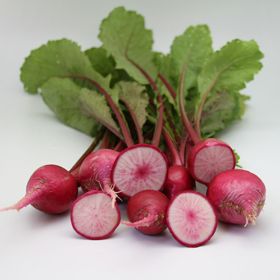 Photo of Red Round Turnip Seed
