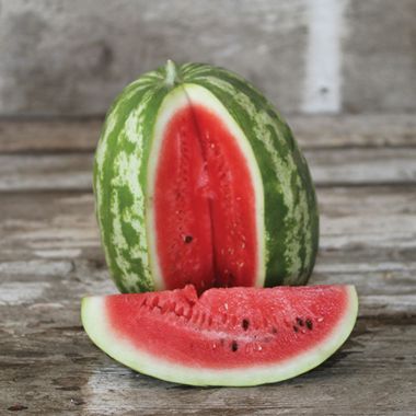Photo of Crimson Sweet Watermelon Seed