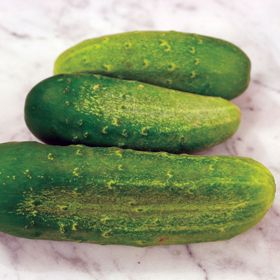 Photo of cucumbers