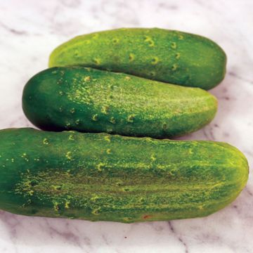 Photo of cucumbers