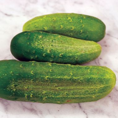 Photo of cucumbers