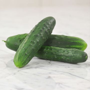 Photo of Marketmore 76 Cucumber Seed
