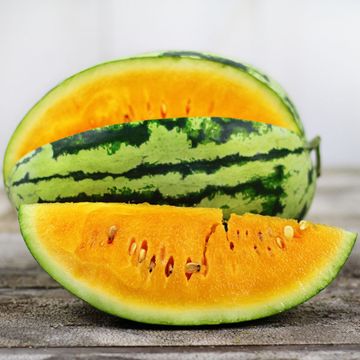 Photo of Orangeglo Watermelon Seed