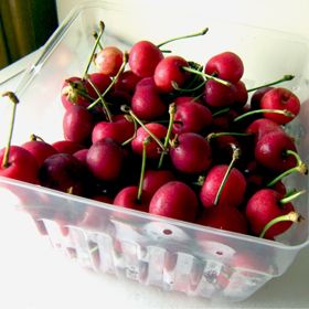 Photo of picked cherries.