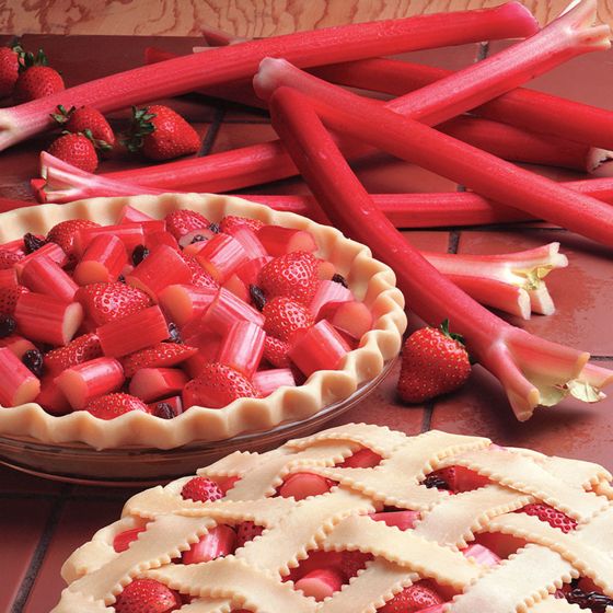 Photo of rhubarb and 2 rhubarb pies.