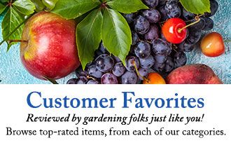 Browse top-rated items, from each of our categories.