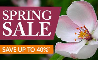 Spring Sale - Save up to 40%