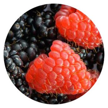 Blackberries and raspberries