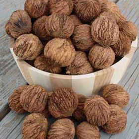 Photo of Burbank™ Royal Black Walnut Tree