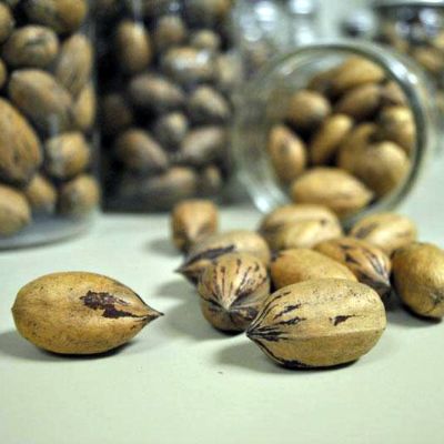 Desirable Pecans