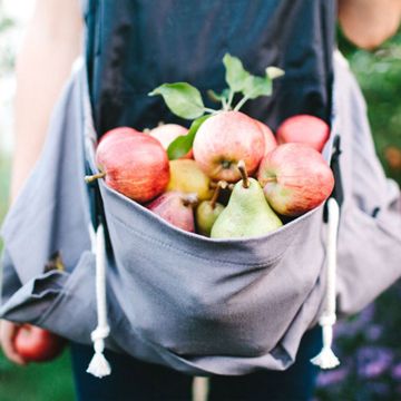 The Roo Gardening & Harvest Apron holding a bunch of apples
