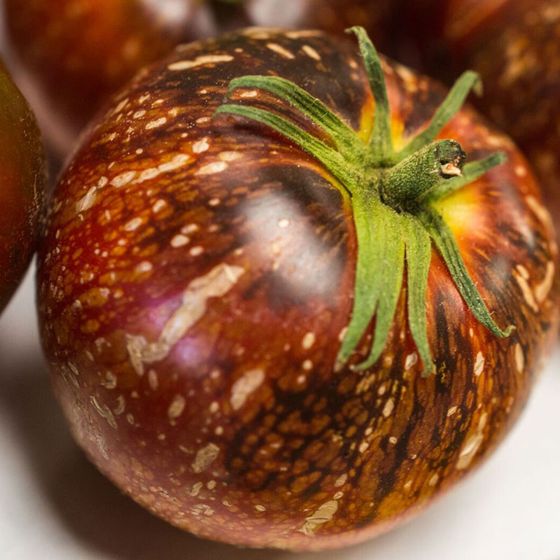 Photo of Dark Galaxy Tomato Seed