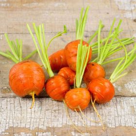 Photo of Parisienne Carrot Seed