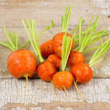 Photo of carrots