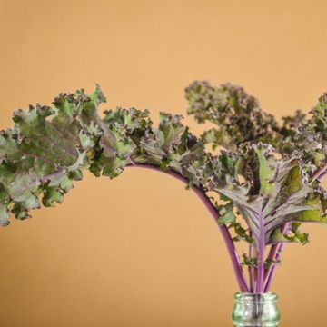 Photo of kale.