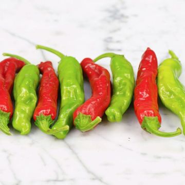 Photo of peppers.