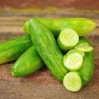 Photo of Tendergreen Burpless Cucumber Seed