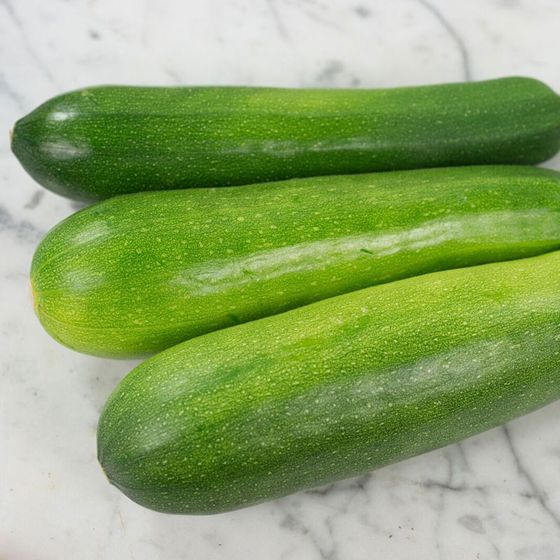 Photo of Zucchini Black Beauty Squash Seed